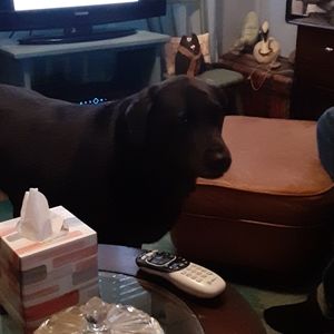 Open to all reasonable offers